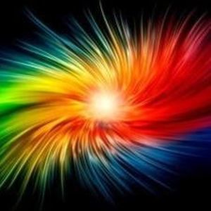 Meet your Posher, Bella